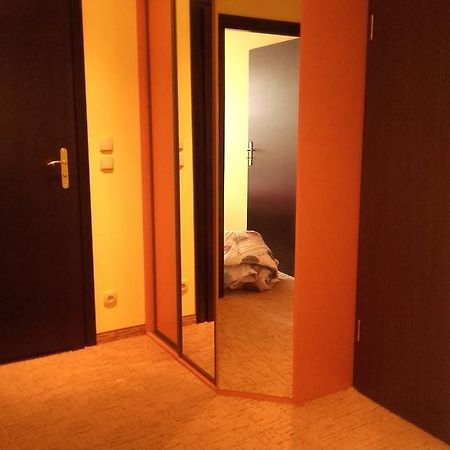 Apartament 456 コウォブジェク エクステリア 写真