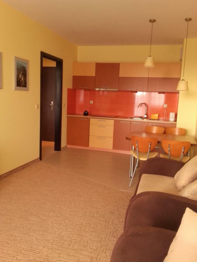 Apartament 456 コウォブジェク エクステリア 写真